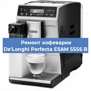 Ремонт капучинатора на кофемашине De'Longhi Perfecta ESAM 5556 B в Красноярске